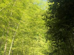 -溪口-滕头旅游景区