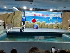 -嘉兴海底世界