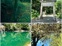 -老山国家森林公园