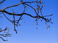 -东钱湖旅游度假区