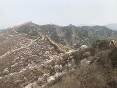 -蟠龙山长城景区