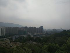 -金鸡山公园