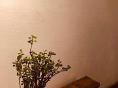 -花迹(富春江东街店)