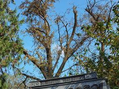 -狼山风景名胜区