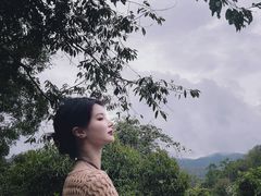 -野象谷景区