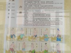 -广州神农草堂中医药博物馆