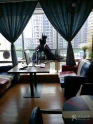 -愿望树儿童摄影(699文创店)