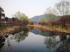 -石塘人家