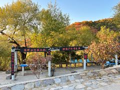 -北京西山国家森林公园