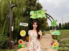 -杭州湾海上花田景区