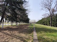 -汉长安城未央宫国家考古遗址公园