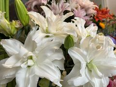 -FEI FEI FLOWER鲜花店·气球派对·宝宝宴布置(虹口德必运动Loft店)