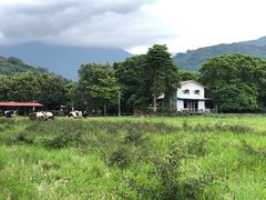 -瑞穗牧场