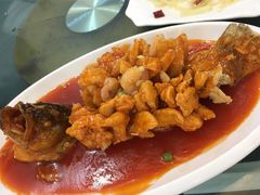 松子鲈鱼-兴安餐厅(兴安路店)