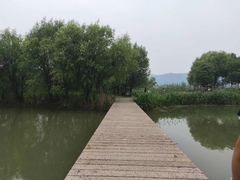 -长兴太湖图影湿地文化园