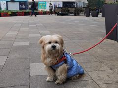 -吉亨面馆(古北1699店)