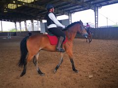 -松声马术俱乐部