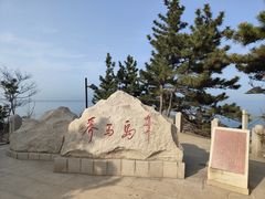 -养马岛旅游度假区
