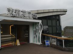 -金鸡山公园