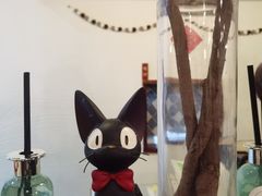 -拾年