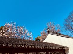 -枫桥景区