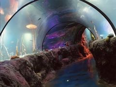 -沈阳海洋探索中心