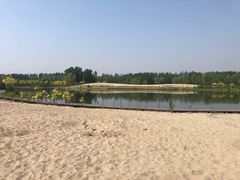 -东郊湿地公园