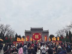 -大槐树寻根祭祖园