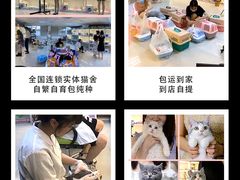 -lincat·猫舍(广州店)