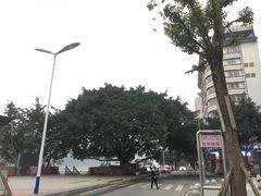 -张公桥美食街