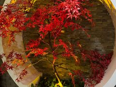 -金狮麟·新豫菜(金码大厦店)