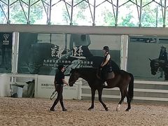 -名驭国际马术学院