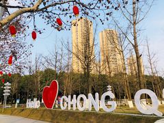 -重庆市江北嘴中央商务区中央公园