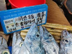 -西归浦每天偶来市场