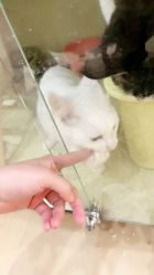 -染墨儿童摄影(转塘店)