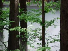 -北京植物园南门售票处