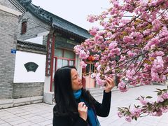 -杨家埠民间艺术大观园