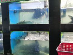 -全乐鱼馆·淳牌有机鱼直营店