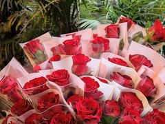 -福照楼汽锅鸡·云南特色菜(万达广场店)