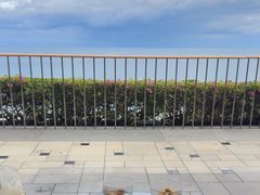 -日落吧·海景咖啡厅·餐酒吧·鸡尾酒·下午茶·乐队表演·浪漫夕阳·三亚文华东方酒店