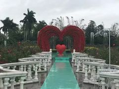 -百万葵园