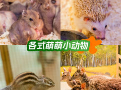 -正佳极地海洋世界