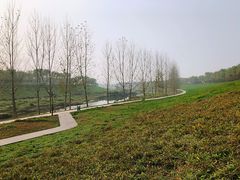 -洨河生态公园