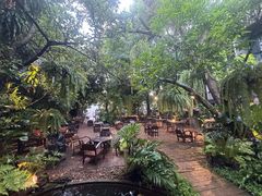 -Fern Forest Cafe