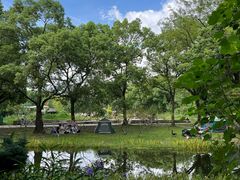 -上海共青森林公园