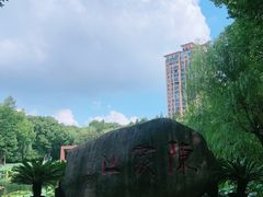-陈家山荷花公园