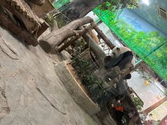 -灵玲国际马戏城