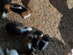 -常州海昌海洋探索馆