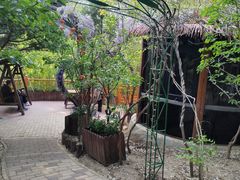 -太阳宫公园