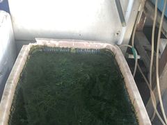 -新享乐海鲜(翠华路店)